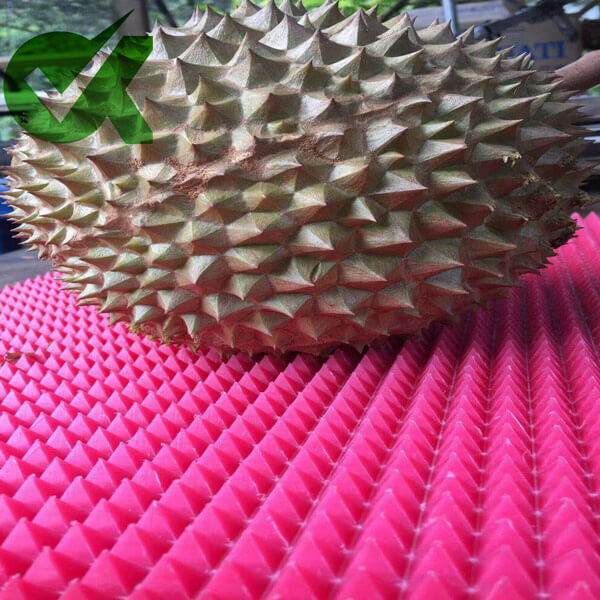 Customized Durian HDPE Cutting Board